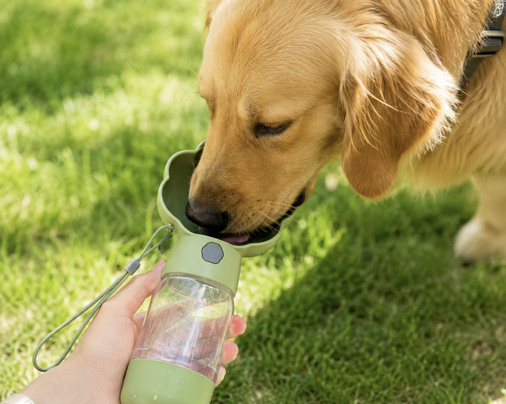 PawNomi™ GoSip Bottle – Portable Dog Water Bottle
